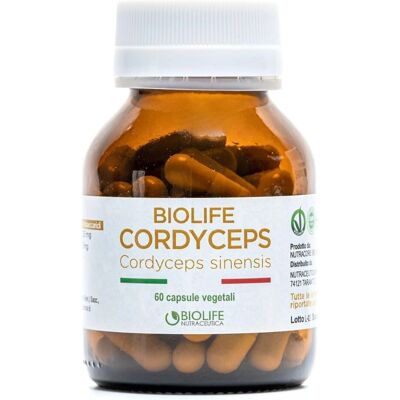Biolife Cordyceps - Integratore per la salute respiratoria - 60 capsule Biolife Cordyceps - Integratore per la salute respiratoria - 60 capsule