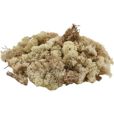MAGIEDINATALE - 1kg - Verde chiaro - Naturale - Moss mat MAGIEDINATALE - 1kg - Verde chiaro - Naturale - Moss mat