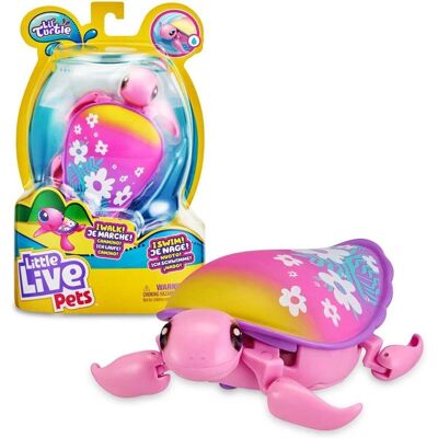 Petits animaux vivants Tortue Rose ou Bleue - Jouets - Publicité Petits animaux vivants Tortue Rose ou Bleue - Jouets - Publicité
