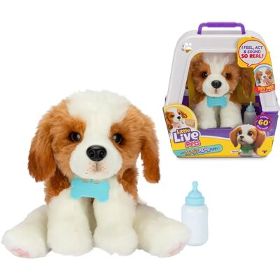 Little Live Pets Mon Chiot Vraiment Réel Beige - Jouet - Publicité Little Live Pets Mon Chiot Vraiment Réel Beige - Jouet - Publicité