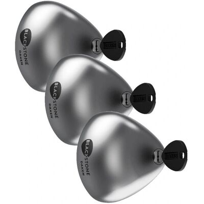 VIVOL - Cerradura para furgonetas Blackstone Silver combo - cerradura de seguridad de acero inoxidable - 3 cerraduras + 6 llaves VIVOL - Cerradura para furgonetas Blackstone Silver combo - cerradura de seguridad de acero inoxidable - 3 cerraduras + 6 llaves