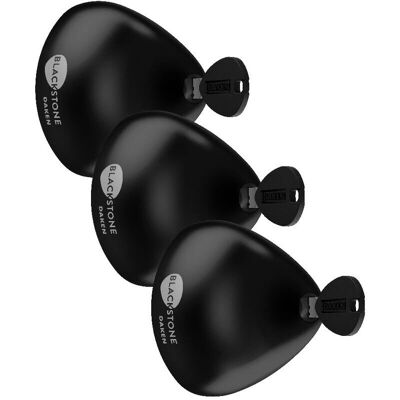VIVOL Cerradura para furgonetas Blackstone - Acero inoxidable, 3 cerraduras, 6 llaves - Seguridad VIVOL Cerradura para furgonetas Blackstone - Acero inoxidable, 3 cerraduras, 6 llaves - Seguridad