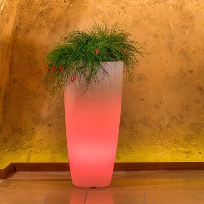 Monacis - Vase Lumineux Agave - Écologique, 70cm, Lumière Rouge - Décor Jardin - Publicité Monacis - Vase Lumineux Agave - Écologique, 70cm, Lumière Rouge - Décor Jardin - Publicité