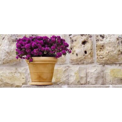 MONACIS - Vaso in Polimero Doppio Bordo Liscio Impruneta Ø90 - Planter MONACIS - Vaso in Polimero Doppio Bordo Liscio Impruneta Ø90 - Planter