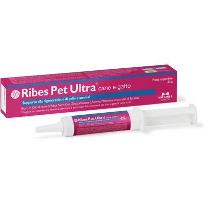 Supporto della pelle con olio di ribes nero e bardana - Integratore per cani e gatti Supporto della pelle con olio di ribes nero e bardana - Integratore per cani e gatti