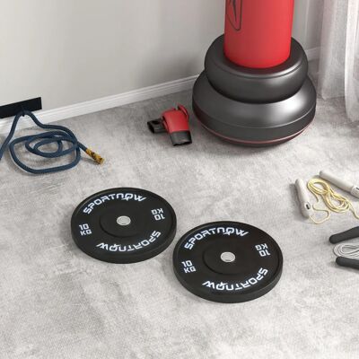 Sportnow Set di 2 Dischi da 10kg - Per Barre Standard Sportnow Set di 2 Dischi da 10kg - Per Barre Standard