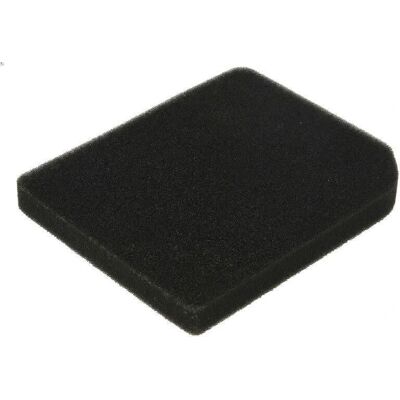 Filtro d'Aria Athena S.P.A. - S410010200007 per Aprilia Scarabeo Filtro d'Aria Athena S.P.A. - S410010200007 per Aprilia Scarabeo