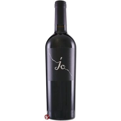 Gianfranco Fino Negroamaro JO 2021 - Vino Gianfranco Fino Negroamaro JO 2021 - Vino