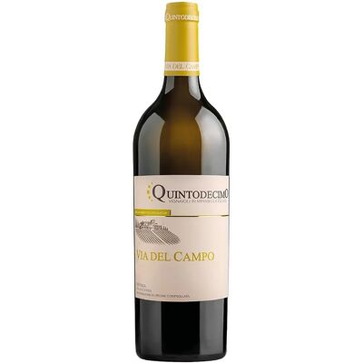 Quintodecimo Irpinia Falanghina Via del Campo 2023 - Vino Quintodecimo Irpinia Falanghina Via del Campo 2023 - Vino