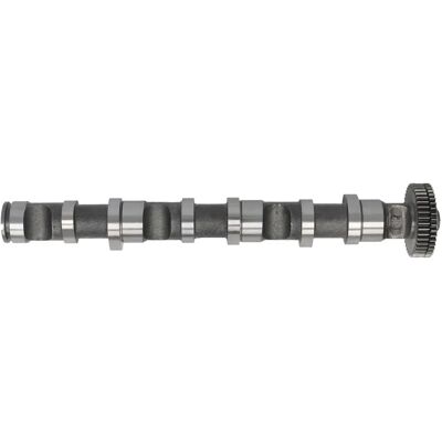 Arbre à Cames FRECCIA CM05-2188 - Côté d'échappement pour Audi VW Škoda Arbre à Cames FRECCIA CM05-2188 - Côté d'échappement pour Audi VW Škoda
