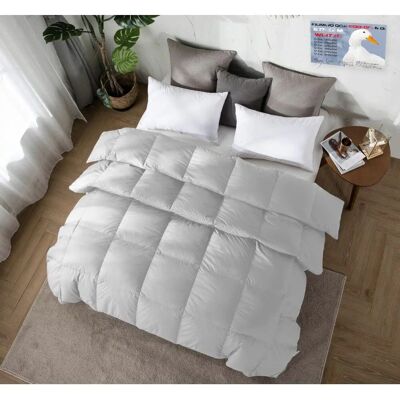 TEX FAMILY - Piumino oca Stream - 150 g/m2 - Duvet TEX FAMILY - Piumino oca Stream - 150 g/m2 - Duvet