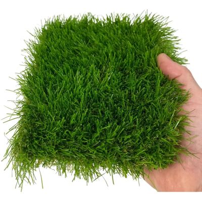 TEX FAMILY Erba Sintetica Windsor - Tappeto Finto per Giardino & Esterni TEX FAMILY Erba Sintetica Windsor - Tappeto Finto per Giardino & Esterni