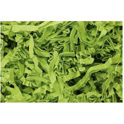 Kaiserkraft SizzlePak Papier-Füllmaterial - 1,25 kg - 40 l - Limettengrün Kaiserkraft SizzlePak Papier-Füllmaterial - 1,25 kg - 40 l - Limettengrün