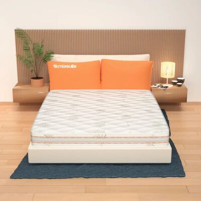 MIASUITE Materasso Memory Foam - 160x195cm - Ortopedico - Aloe Vera MIASUITE Materasso Memory Foam - 160x195cm - Ortopedico - Aloe Vera