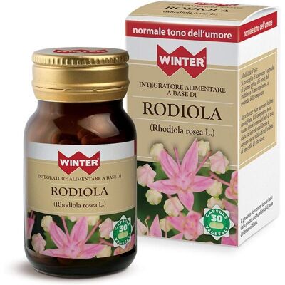 GDP Modelo - Rodiola de Invierno - Complemento Alimenticio GDP Modelo - Rodiola de Invierno - Complemento Alimenticio