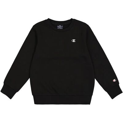 Champion Basic Crewneck - Unisex Sweatshirt Champion Basic Crewneck - Unisex Sweatshirt