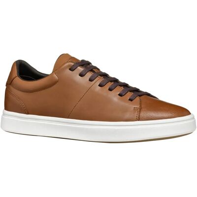 Geox Baltmoore C Chaussures pour Hommes - Baskets Geox Baltmoore C Chaussures pour Hommes - Baskets