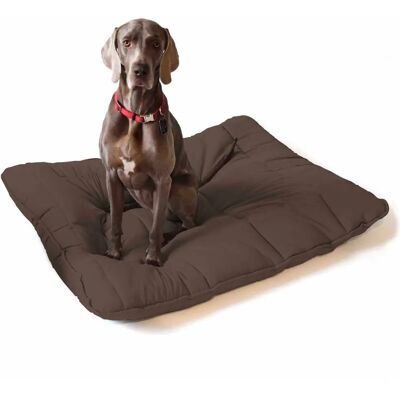 Groupon Maxi Coussin pour Chiens et Chats - Coussin Groupon Maxi Coussin pour Chiens et Chats - Coussin