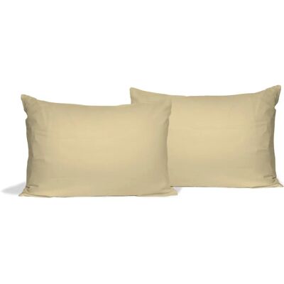 Housses de Couvre-oreiller en Microfibre Panna par Datex Trade - Housses de Couvre-oreiller Housses de Couvre-oreiller en Microfibre Panna par Datex Trade - Housses de Couvre-oreiller