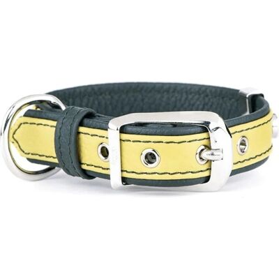 Collar para Perro Firenze Lime de Myfamily - Collar para Perro Collar para Perro Firenze Lime de Myfamily - Collar para Perro