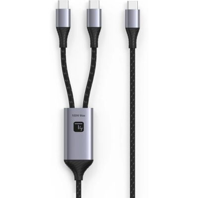Techly ICOC MU2C Câble USB C 2-en-1 - 1,5m Noir/Gris - USB 2.0 Techly ICOC MU2C Câble USB C 2-en-1 - 1,5m Noir/Gris - USB 2.0