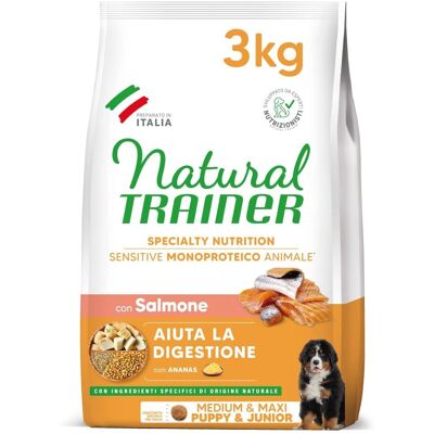 Natural Trainer Glutenfri Lax Hundmat - Medium/Stort Natural Trainer Glutenfri Lax Hundmat - Medium/Stort