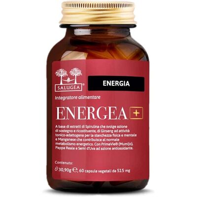 Salugea Energea+ - Suplemento natural para la vitalidad - 60 cápsulas Salugea Energea+ - Suplemento natural para la vitalidad - 60 cápsulas