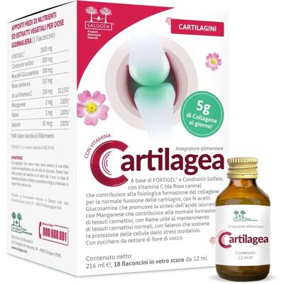 Salugea Cartilagea - Integratore Naturale per le Articolazioni - 18 Fiale Salugea Cartilagea - Integratore Naturale per le Articolazioni - 18 Fiale