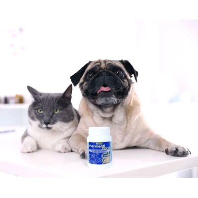 Integratore di Flora Fermenti Amicafarmacia per Cani e Gatti - 30 Compresse Integratore di Flora Fermenti Amicafarmacia per Cani e Gatti - 30 Compresse