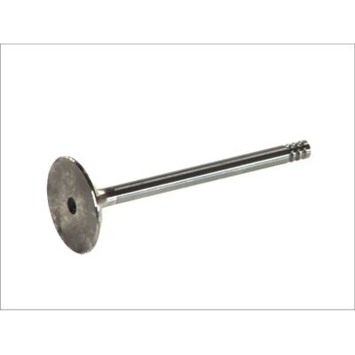 FRECCIA R4802/S Valve for VW Polo, Golf III, Vento, Seat Ibiza II - Valve FRECCIA R4802/S Valve for VW Polo, Golf III, Vento, Seat Ibiza II - Valve