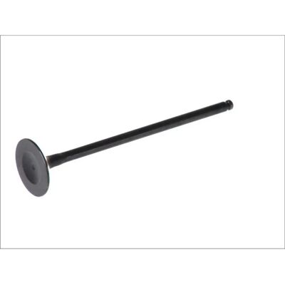 FRECCIA R6232/SNT Valve - Nitride Stem, 30mm Head, 5.5mm Diameter - Valve FRECCIA R6232/SNT Valve - Nitride Stem, 30mm Head, 5.5mm Diameter - Valve