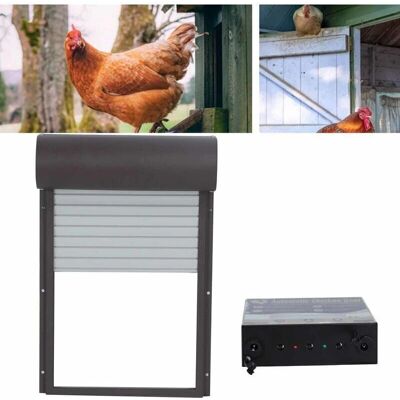 Puerta automática para gallinero solar KZQ con temporizador Puerta automática para gallinero solar KZQ con temporizador
