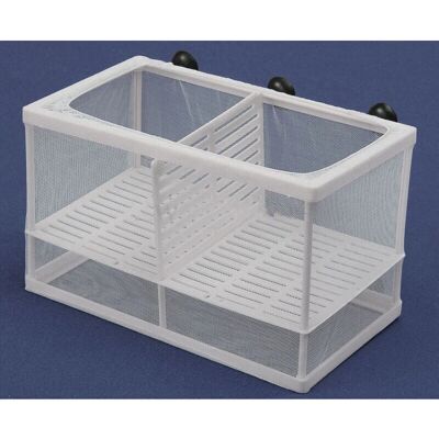 Trade Shop Traesio Aquarium Zuchtbox - Groß Trade Shop Traesio Aquarium Zuchtbox - Groß