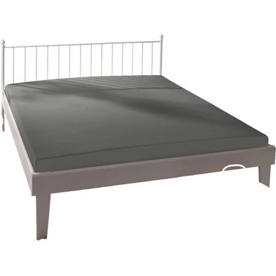Bassetti Graues Baumwolljersey Spannbetttuch - Wasserbett & Matratze 220cm Bassetti Graues Baumwolljersey Spannbetttuch - Wasserbett & Matratze 220cm