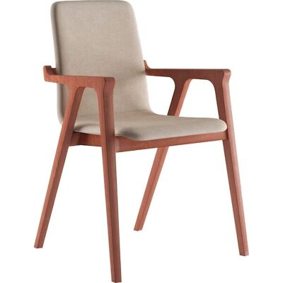 INOSIGN AXA Armlehstuhl - Modern Velours Holzrahmen INOSIGN AXA Armlehstuhl - Modern Velours Holzrahmen
