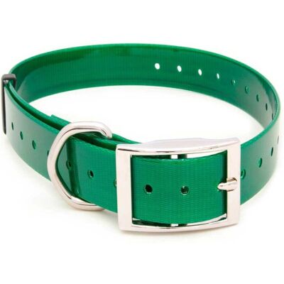 Collare in poliuretano resistente per cani - 3,8X60CM Verde Collare in poliuretano resistente per cani - 3,8X60CM Verde