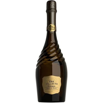Codorniu Ars Collecta Blanc de Blancs 2021 - 75cl - Publicité Codorniu Ars Collecta Blanc de Blancs 2021 - 75cl - Publicité