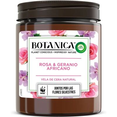 Vela Air Wick Géranium e Rosas - Fragrância Duradoura Vela Air Wick Géranium e Rosas - Fragrância Duradoura