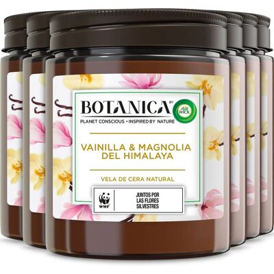 Air Wick Botanica Velas Aromáticas de Cera Natural Vainilla Magnolia Air Wick Botanica Velas Aromáticas de Cera Natural Vainilla Magnolia