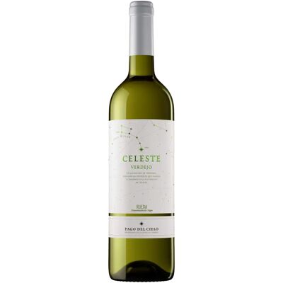Torres Verdejo 2023 - Vino Blanco de Rueda Torres Verdejo 2023 - Vino Blanco de Rueda