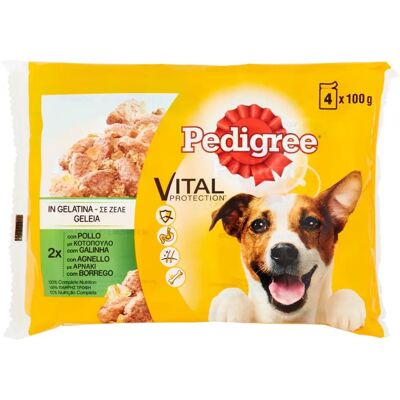 Pedigree Marque Modèle Nourriture Humide Poulet Agneau - Publicité Pedigree Marque Modèle Nourriture Humide Poulet Agneau - Publicité
