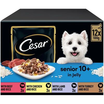 Cesar Senior 10+ Mixed Selection Jelly Wet Dog Food Cesar Senior 10+ Mixed Selection Jelly Wet Dog Food
