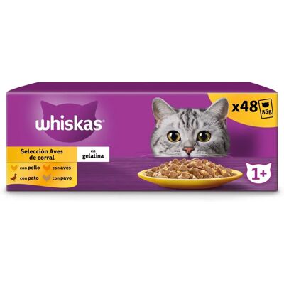 Whiskas Aves Gelé Kattmat - 4 Packages Whiskas Aves Gelé Kattmat - 4 Packages