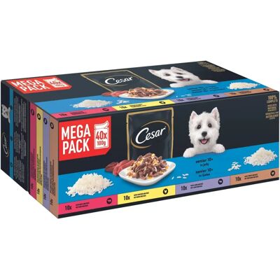 Cesar Senior 10+ Hundefutter - Vielfalt in Gelee & Beuteln Cesar Senior 10+ Hundefutter - Vielfalt in Gelee & Beuteln