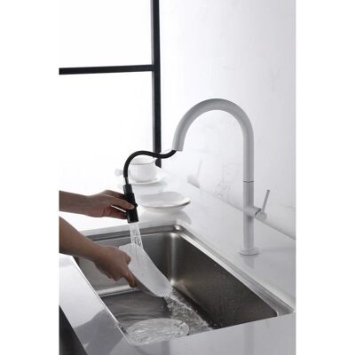 Rubinetto cucina Imex Malta - Monocomando, Bianco opaco, Doccetta rimovibile Rubinetto cucina Imex Malta - Monocomando, Bianco opaco, Doccetta rimovibile