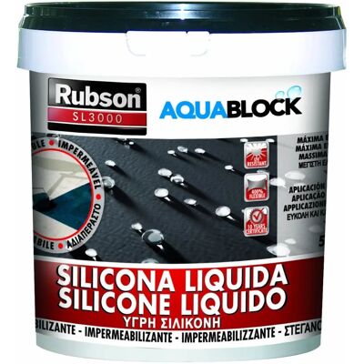 Henkel Rubson Silicone Liquide - Revêtement Imperméabilisant pour Toits - Publicité Henkel Rubson Silicone Liquide - Revêtement Imperméabilisant pour Toits - Publicité