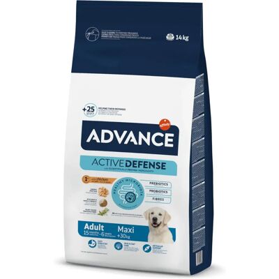 Ração para cães adultos de raças grandes Advance Maxi - Frango & Arroz - 14 KG Ração para cães adultos de raças grandes Advance Maxi - Frango & Arroz - 14 KG