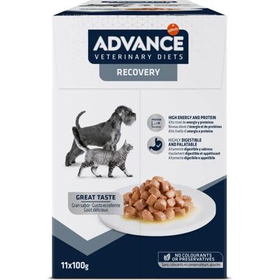 Advance Veterinary Diet Gyógytápsziák - Recovery kutya és macska Advance Veterinary Diet Gyógytápsziák - Recovery kutya és macska