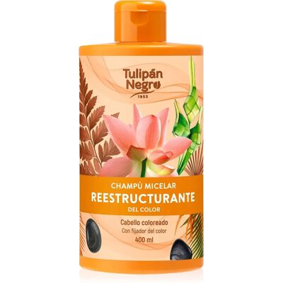 Champú Micelar Negro Tulipán Reestructurante del Color - Champú Champú Micelar Negro Tulipán Reestructurante del Color - Champú