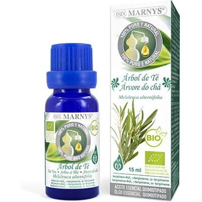 Marnys AA041 Body Cream & Lotion - Body Cream & Lotion Marnys AA041 Body Cream & Lotion - Body Cream & Lotion
